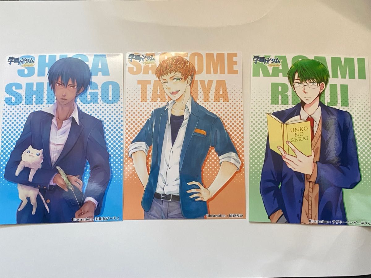 学園ハンサムThe Animation DVD Special ゲームパッケージ版セット