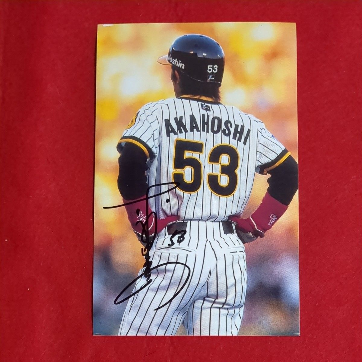 赤星憲広(阪神ﾀｲｶﾞ-ｽ)サイン入り写真｜Yahoo!フリマ（旧PayPayフリマ）