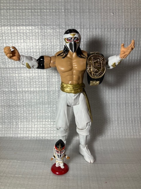 ☆WWE ハズブロ風 ハヤブサ フィギュア FMW☆ Hayabusa Pro Wrestling