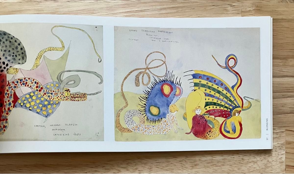 ヘンリー・ダーガー展 少女たちの戦いの物語-夢の楽園 図録 HENRY