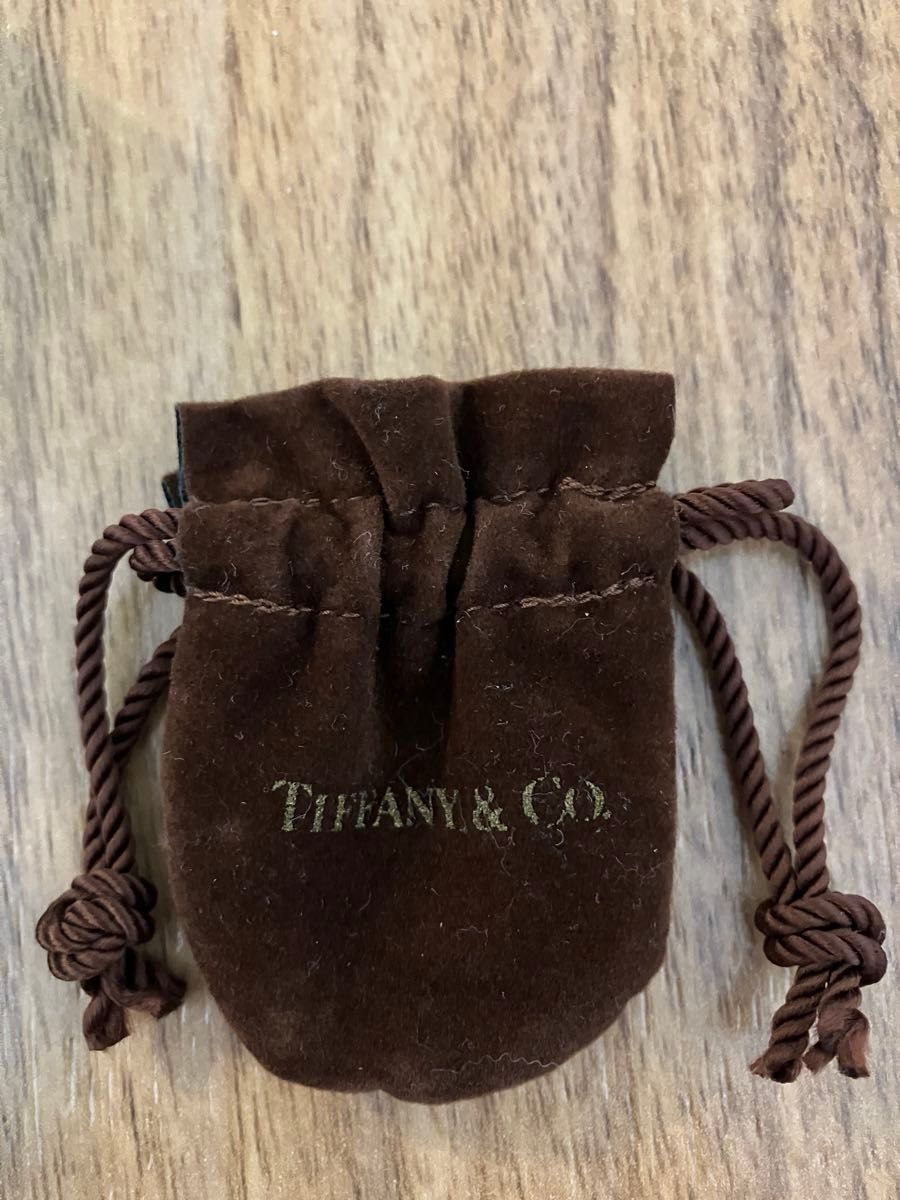 レアカラー【翌日発送】ティファニー 巾着 アクセサリー用 保存袋 ミニ