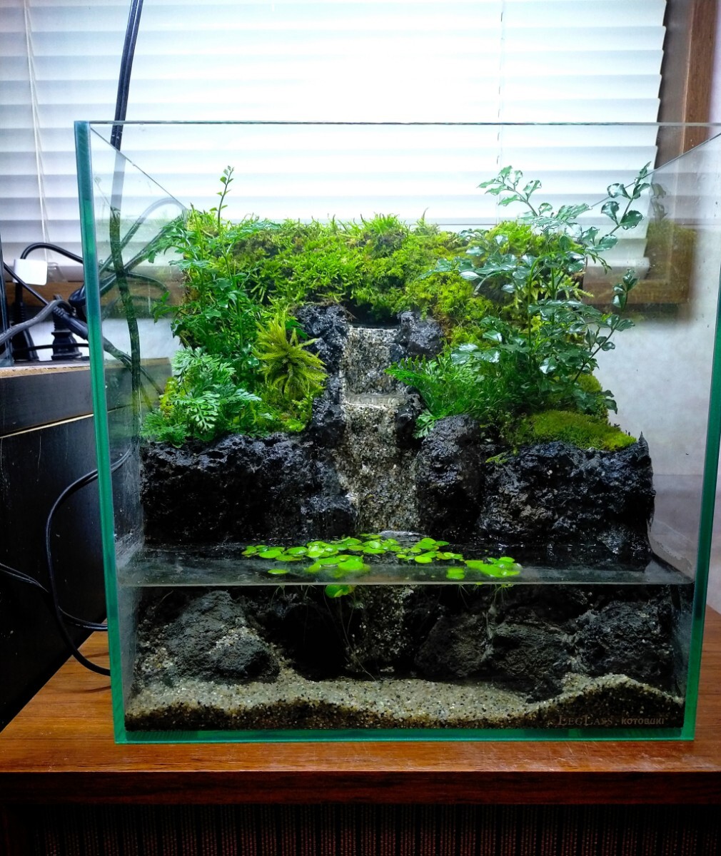 2段の滝の流れる アクアテラリウム｜Yahoo!フリマ（旧PayPayフリマ）