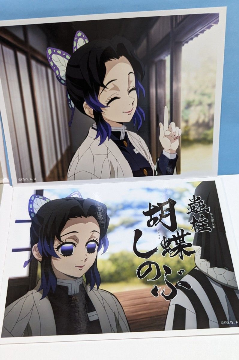 鬼滅の刃 ワールドツアー2024 柱稽古編 第一弾 二弾ランダムビッグ