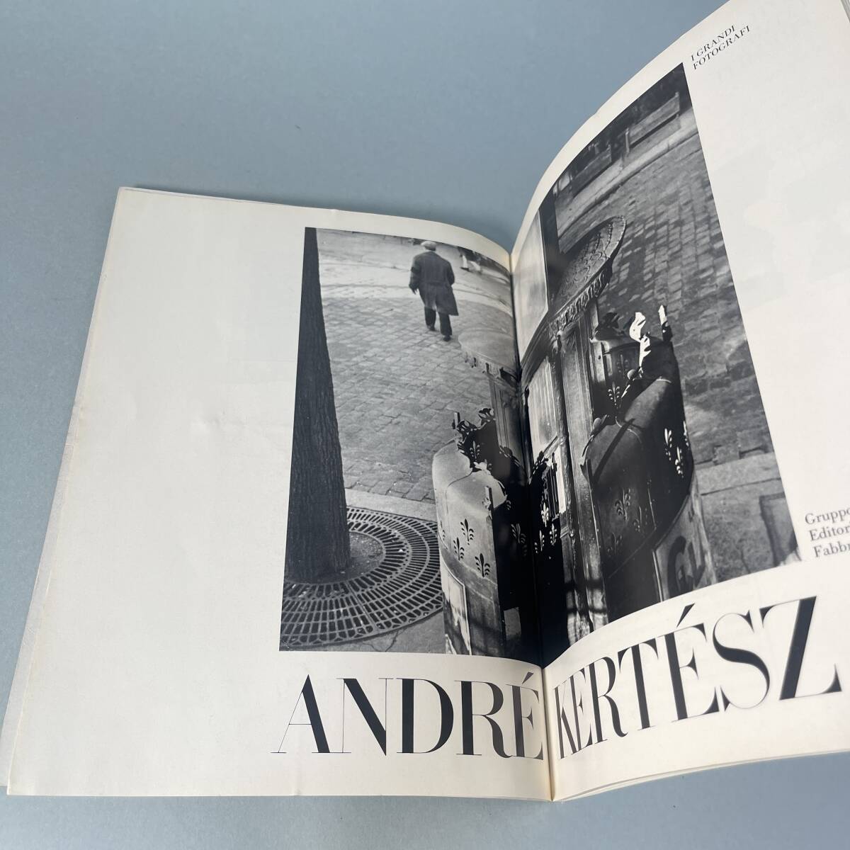 Distortions アンドレケルテス 1976 初版 ハードカバー 希少