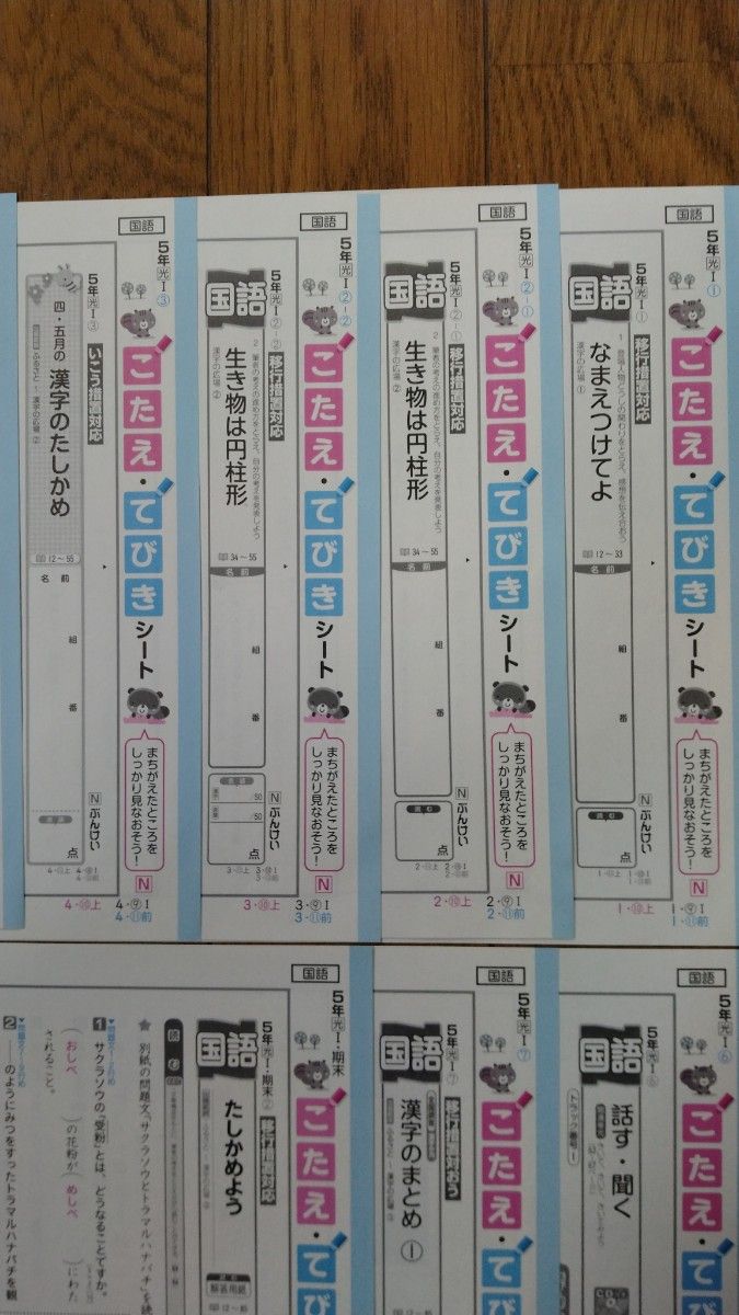 小学5年生 国語 カラーテスト こたえてびきシート 光村図書 ぶんけい