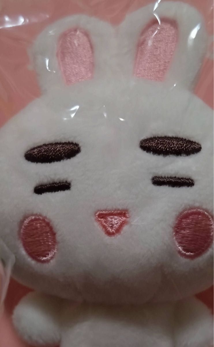 公式】SHINee オニュ10センチdoll うさぎ ぬいぐるみ｜Yahoo!フリマ