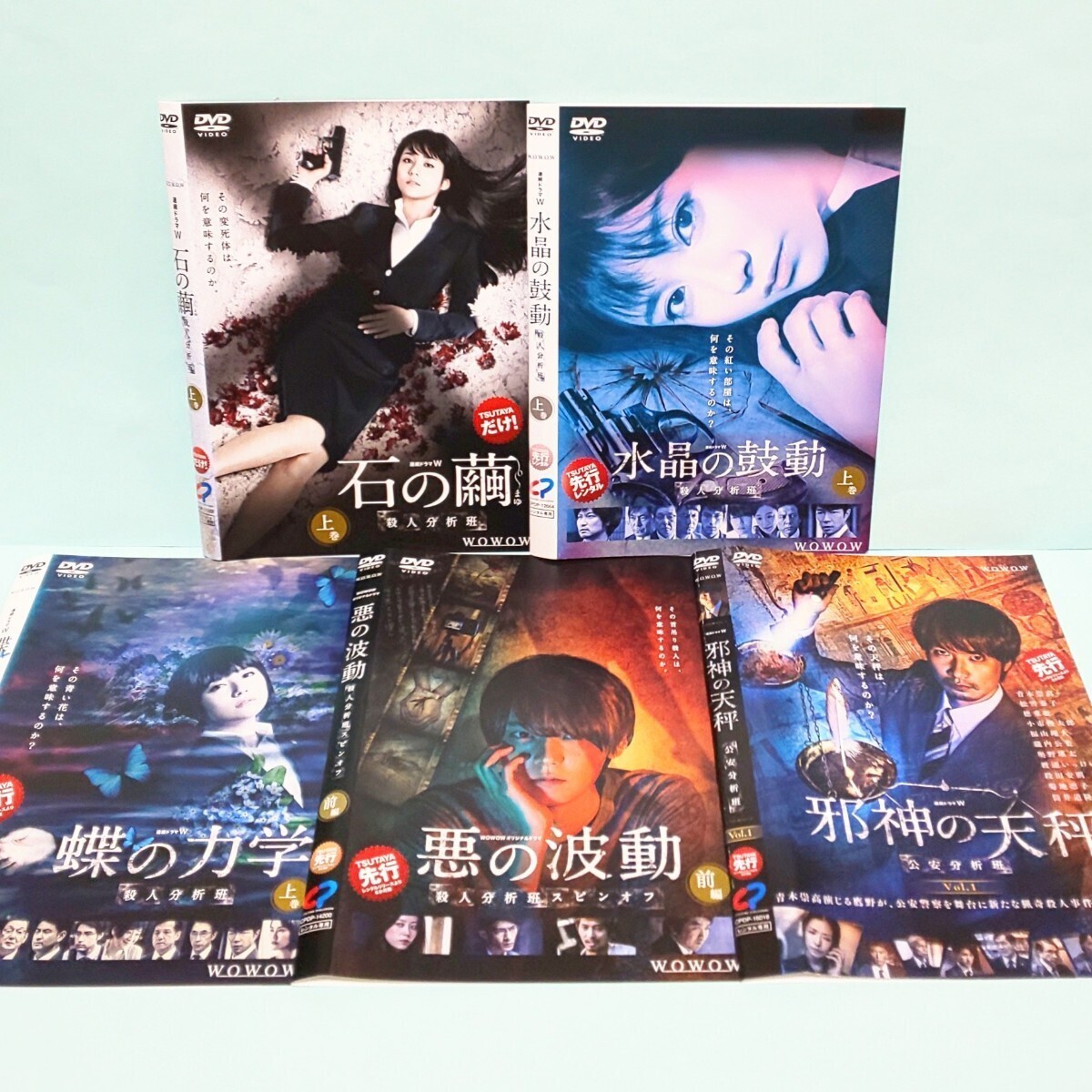 石の繭 水晶の鼓動 蝶の力学 悪の波動 殺人分析班 邪神の天秤 公安分析
