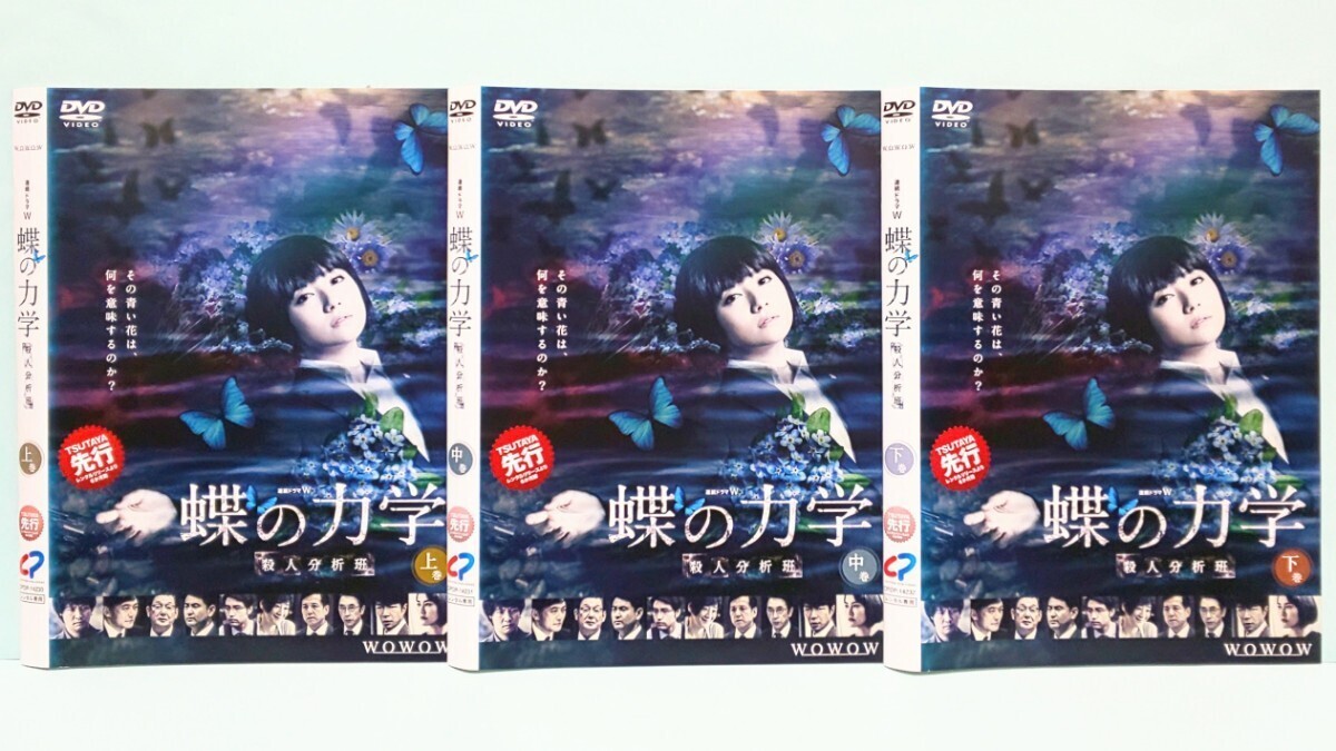 石の繭 水晶の鼓動 蝶の力学 悪の波動 殺人分析班 邪神の天秤 公安分析
