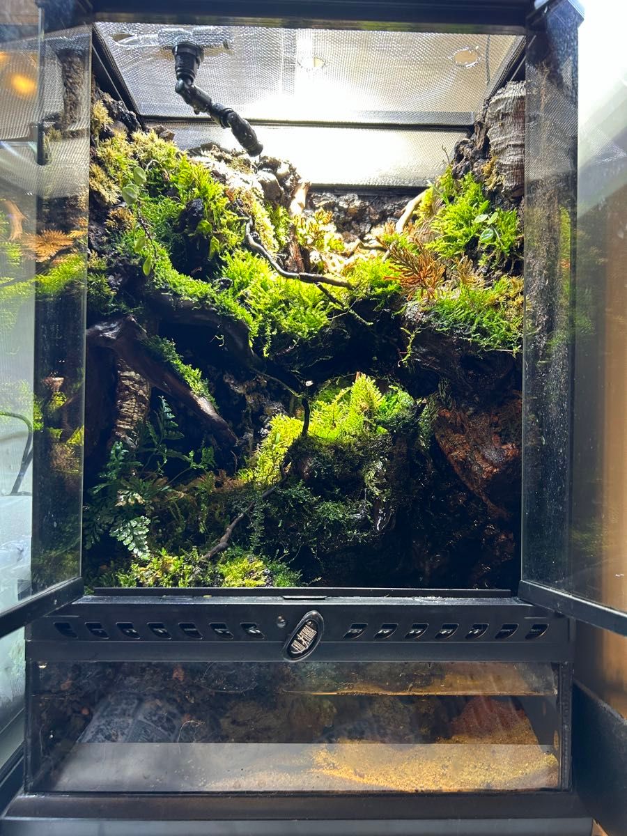 グラステラリウム3045 レイアウト品｜Yahoo!フリマ（旧PayPayフリマ）