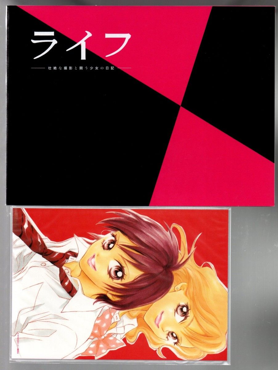 ライフ DVD BOX 北乃きい/福田沙紀 (出演) セル版｜Yahoo!フリマ（旧