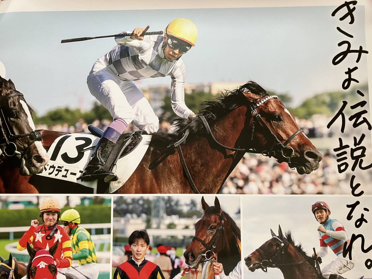 未開封】JRA ヒーロー列伝 No.97 Do Deuce クリアファイル JRA JRA