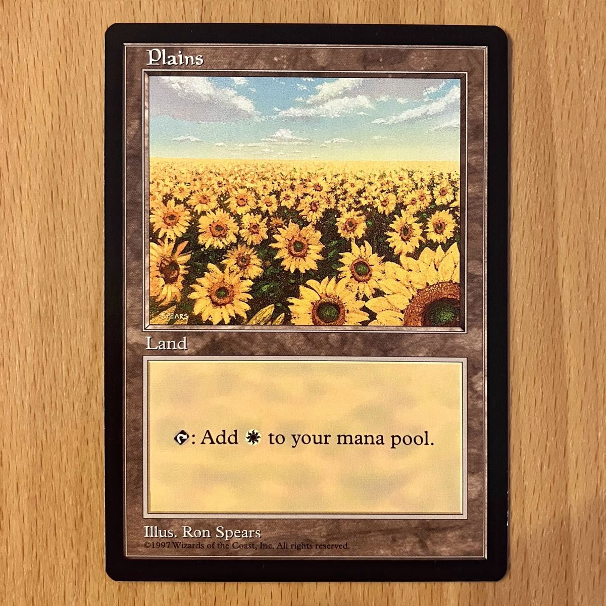 MTG 平地 Plains ひまわり APACランド プロモーションカード 土地 黒枠