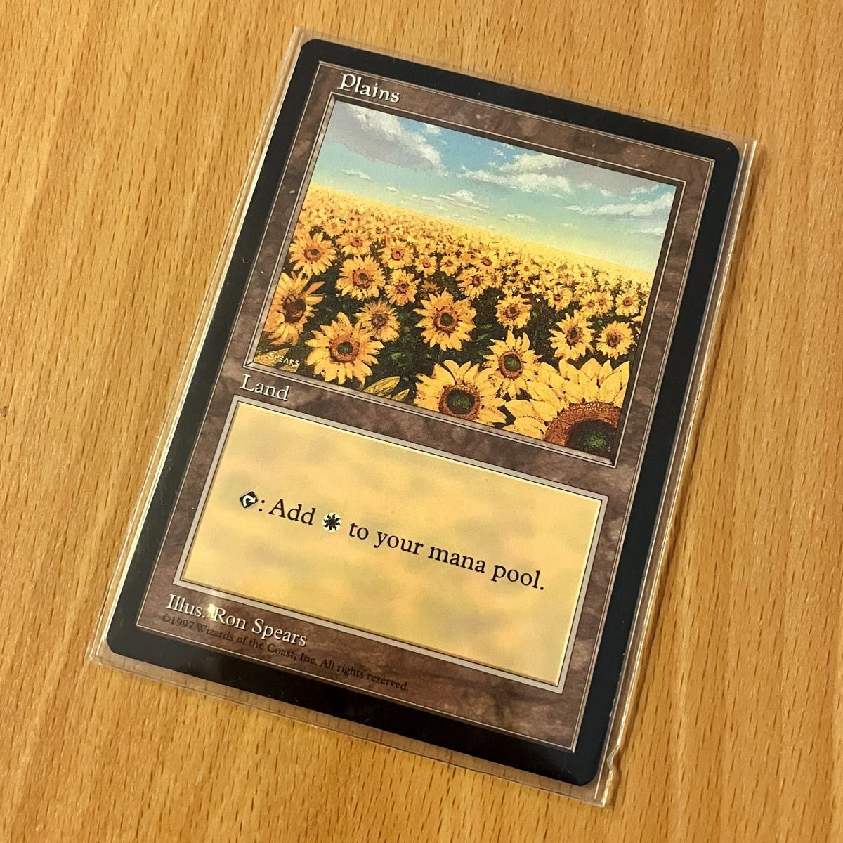 MTG 平地 Plains ひまわり APACランド プロモーションカード 土地 黒枠