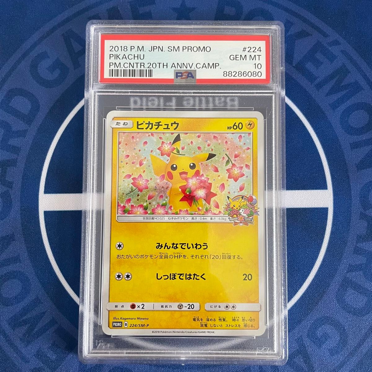 PSA10】ポケモンセンター20周年プロモ ピカチュウ 【ポケモンカード