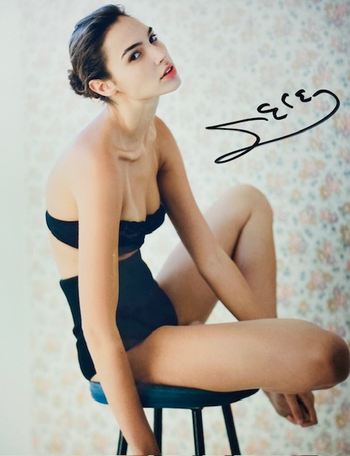 Yahoo!オークション - ガル・ガドット 直筆サイン入り写真【サイズ 約2