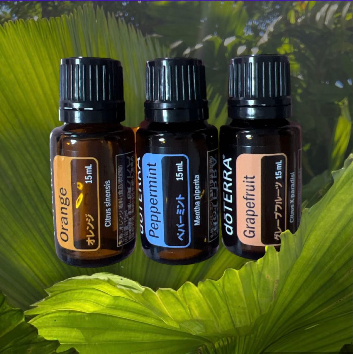 doTERRA エッセンシャルオイルセット☆ドテラ セット☆更年期☆不眠