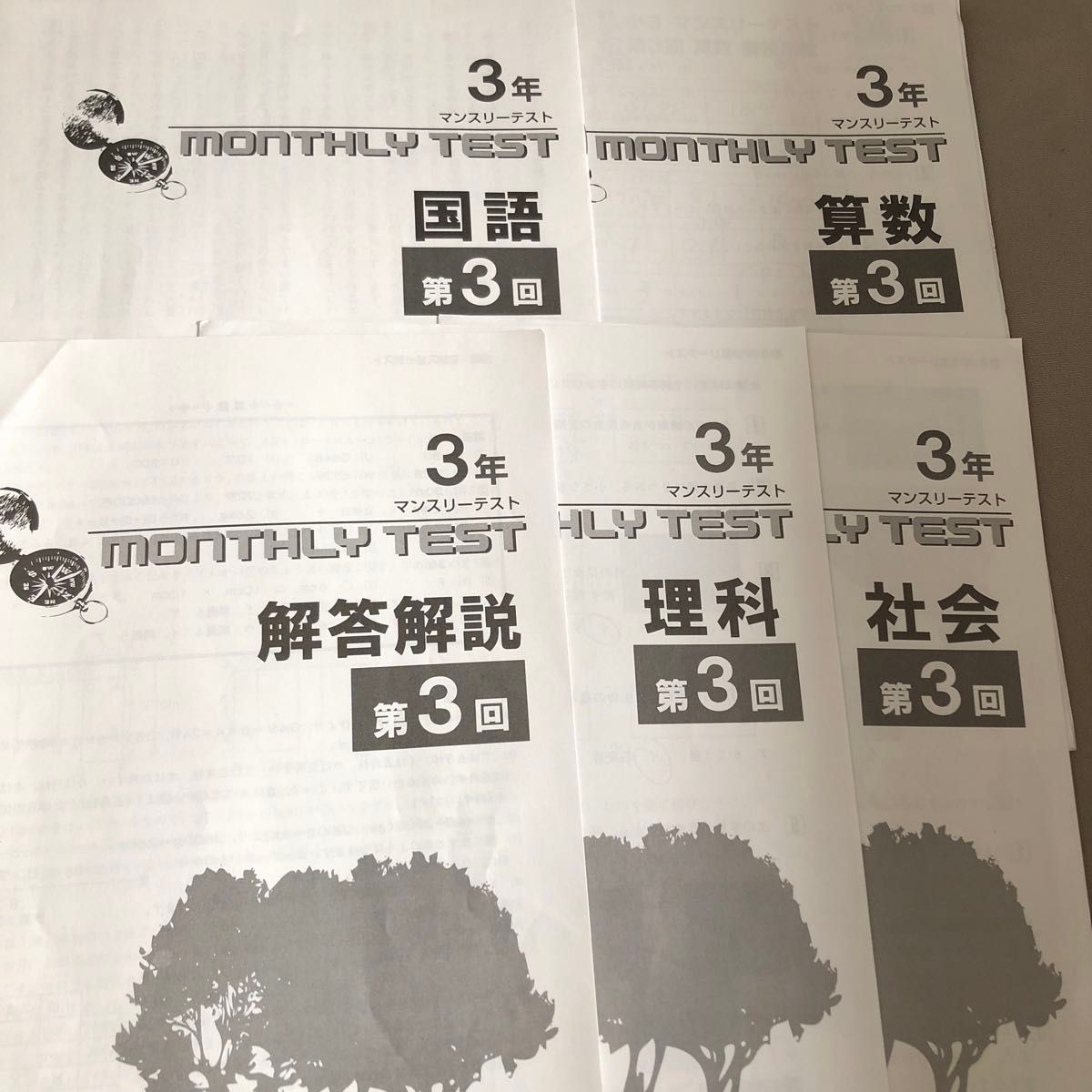 早稲田アカデミー ワセアカ マンスリーテスト 小3 1年分セット 原本 新