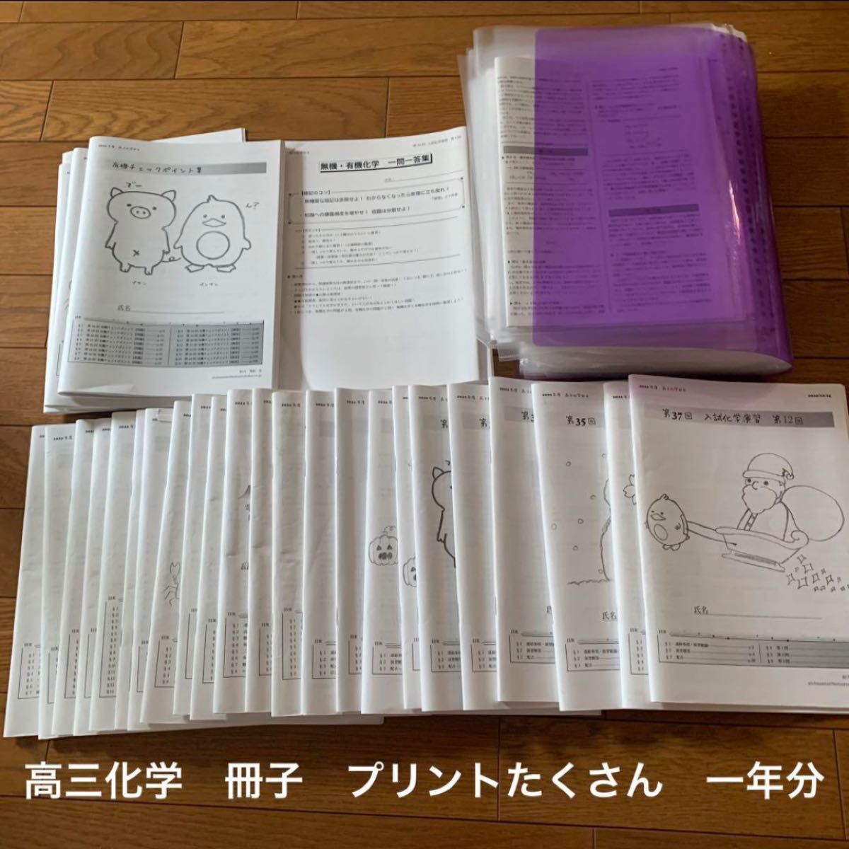 鉄緑会 高三 高3 教材 化学 飛松先生 水野先生 プリント テキスト 授業