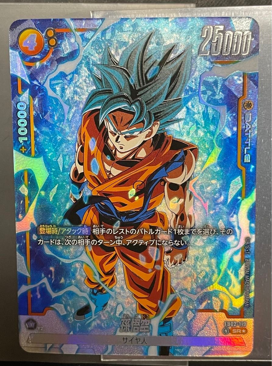PSA9】 かめはめ波 孫悟空 墨絵 烈火の闘気 ドラゴンボール