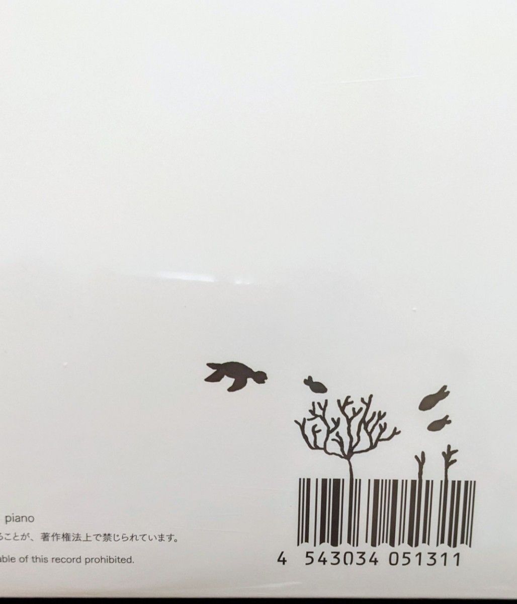 青葉市子 アダンの風 (国内盤1stプレス2枚組アナログレコード)＋