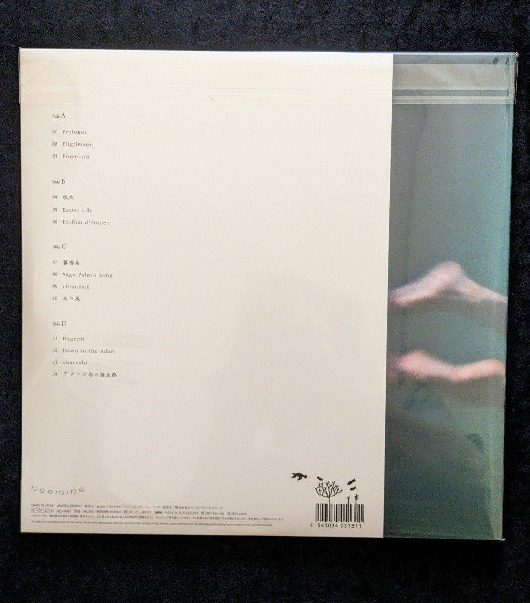 青葉市子 アダンの風 (国内盤1stプレス2枚組アナログレコード)＋