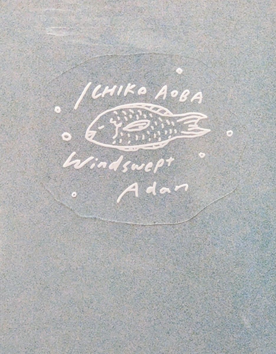 青葉市子 アダンの風 (国内盤1stプレス2枚組アナログレコード)＋