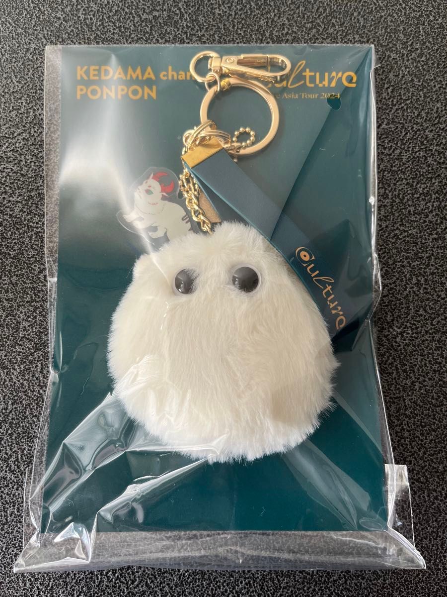 Eve Asia Tour 2024 Culture KEDAMA chan ケダマちゃんポンポン ライブ