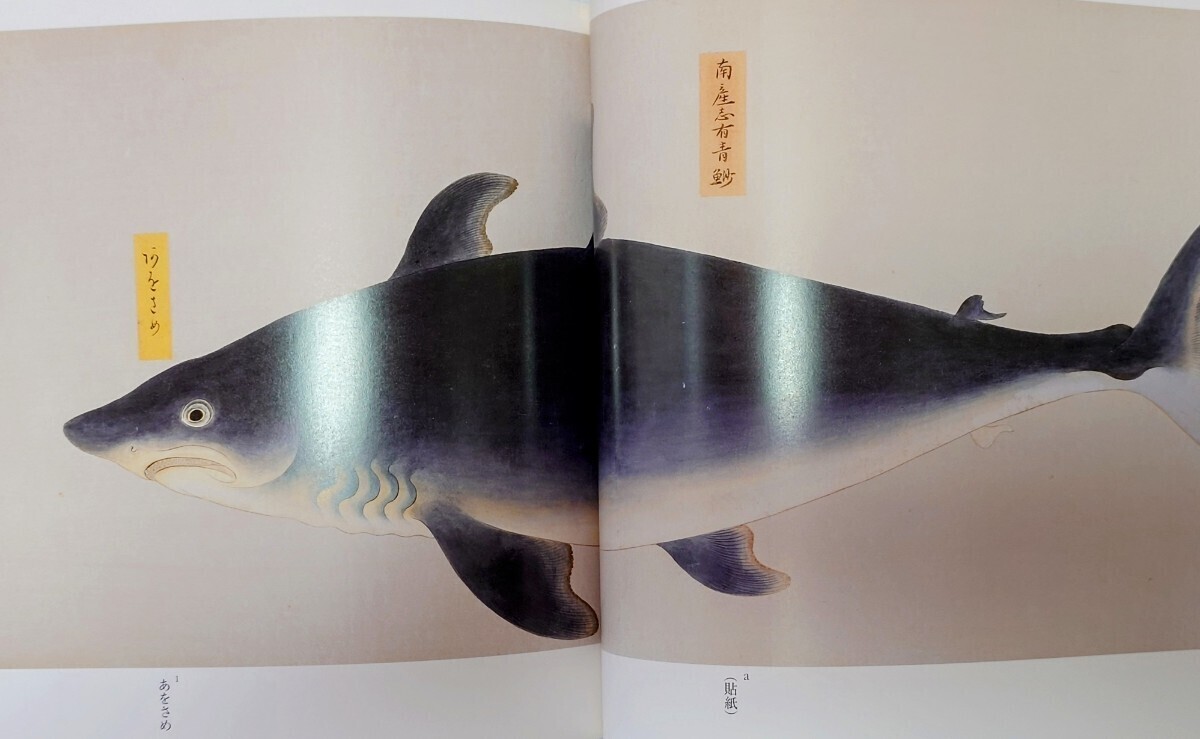 Yahoo!オークション - 衆鱗図 723種 第一帖 第二帖 第三帖 第四帖 研究