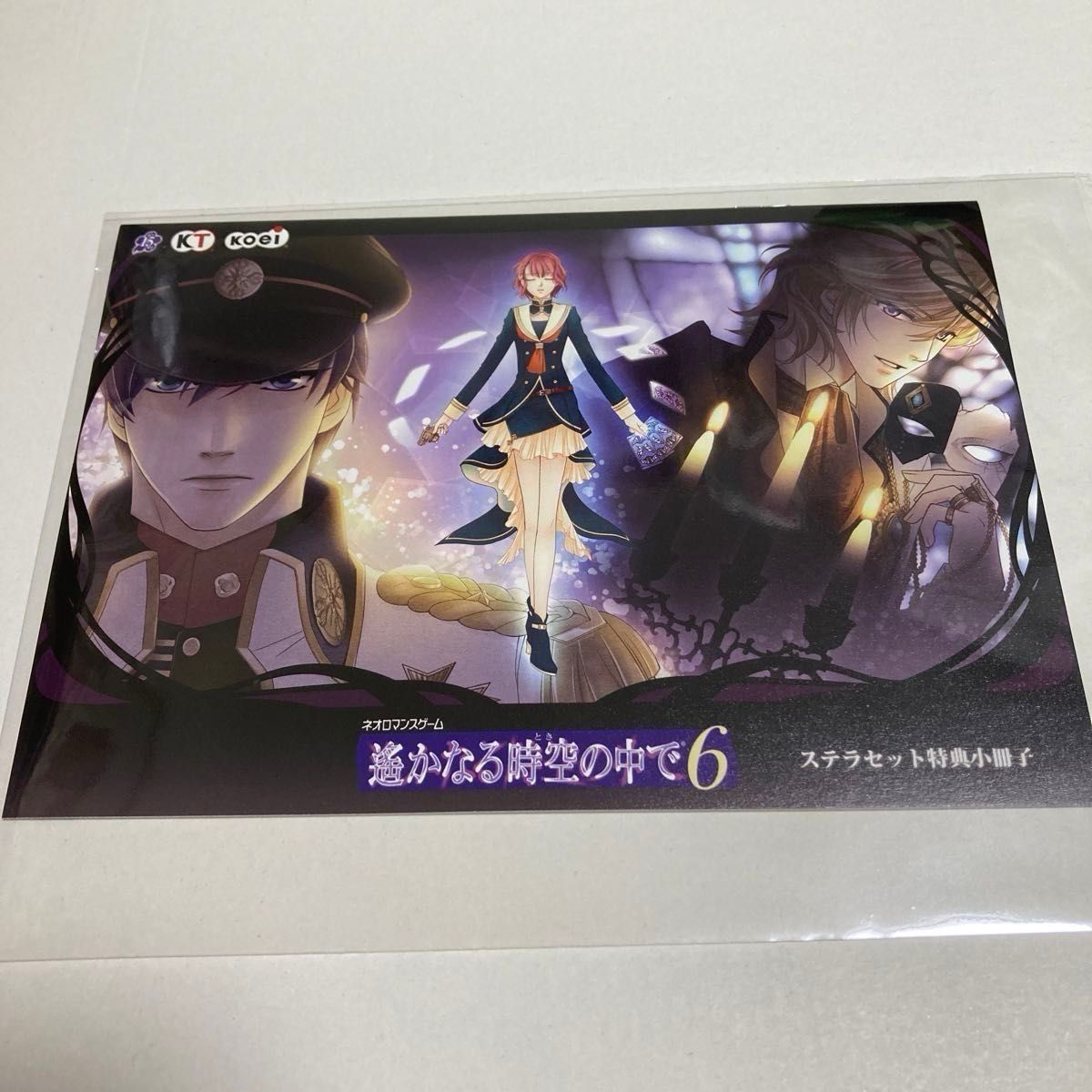 遙かなる時空の中で6 幻燈ロンド 遙か6 小冊子 特典 冊子 ステラワース
