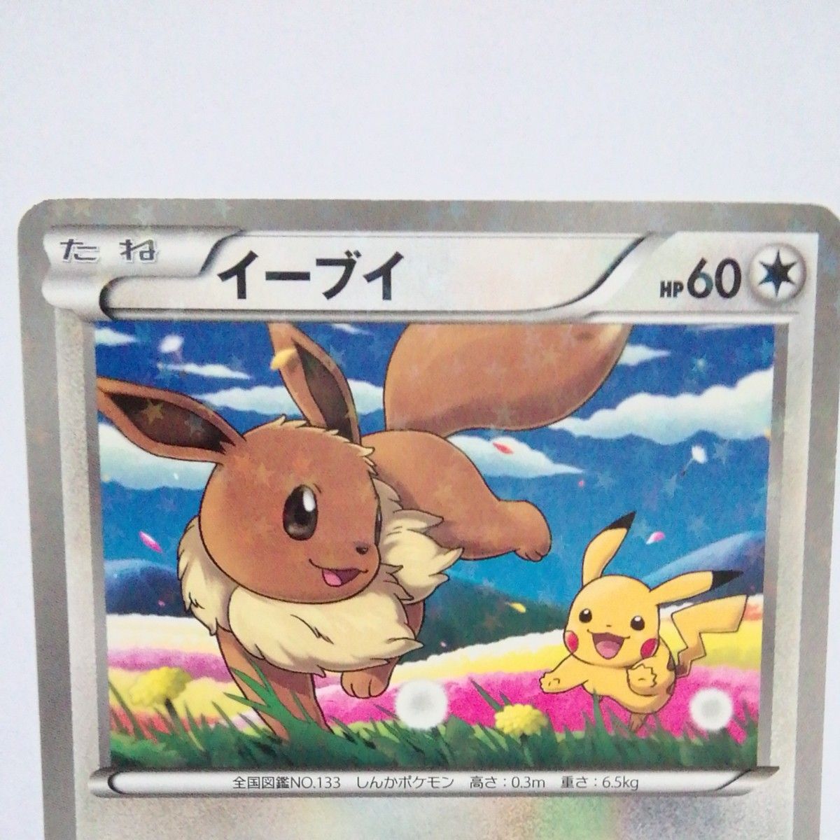 ポケモンカード セブンイレブン限定 スペシャルキラカード「イーブイ