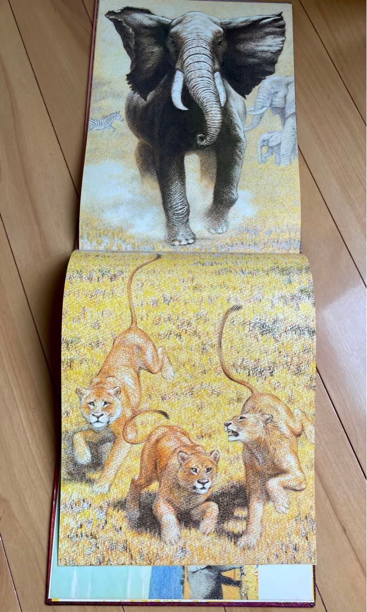 絶版 希少】吉田遠志 動物絵本1〜10、12 11冊セット 福武書店