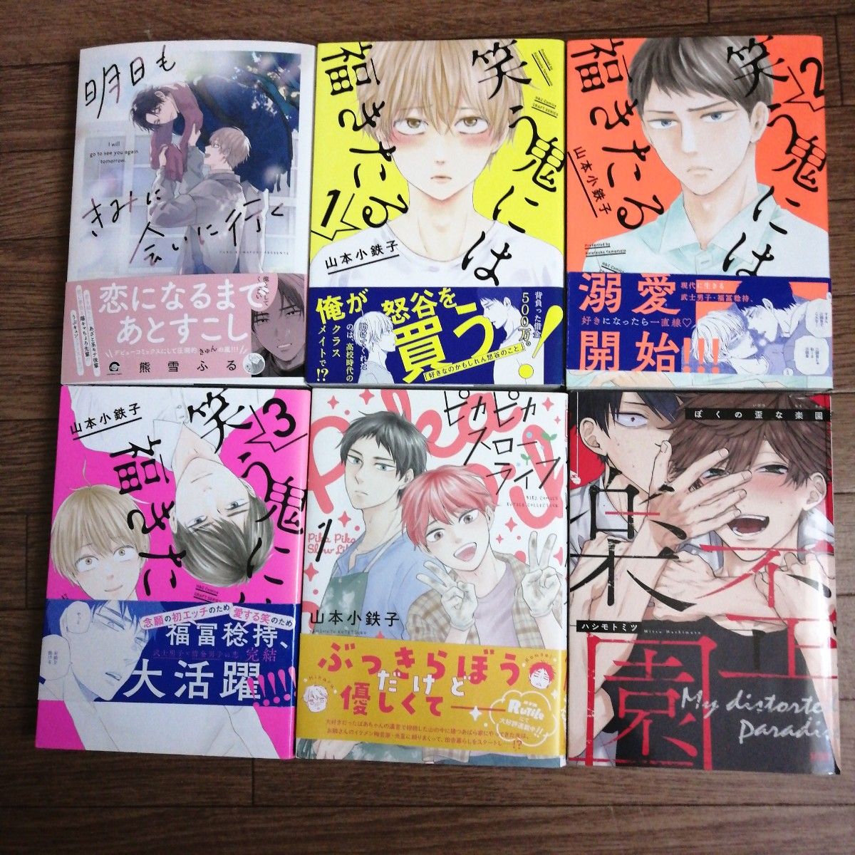 BLコミック まとめ売り 47冊｜Yahoo!フリマ（旧PayPayフリマ）