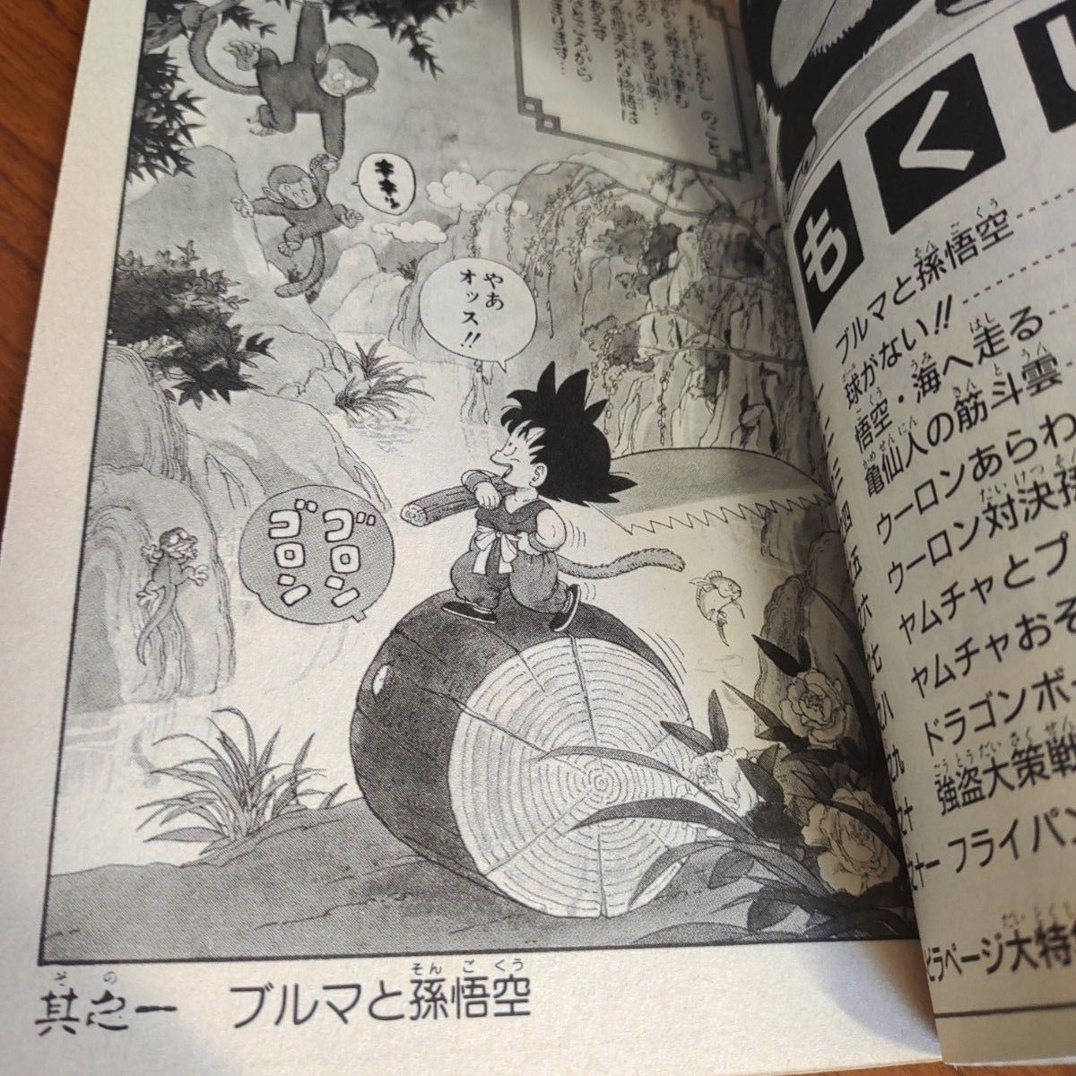 ドラゴンボール 鳥山明 1巻 第41刷 孫悟空と仲間たち 少年 ジャンプ