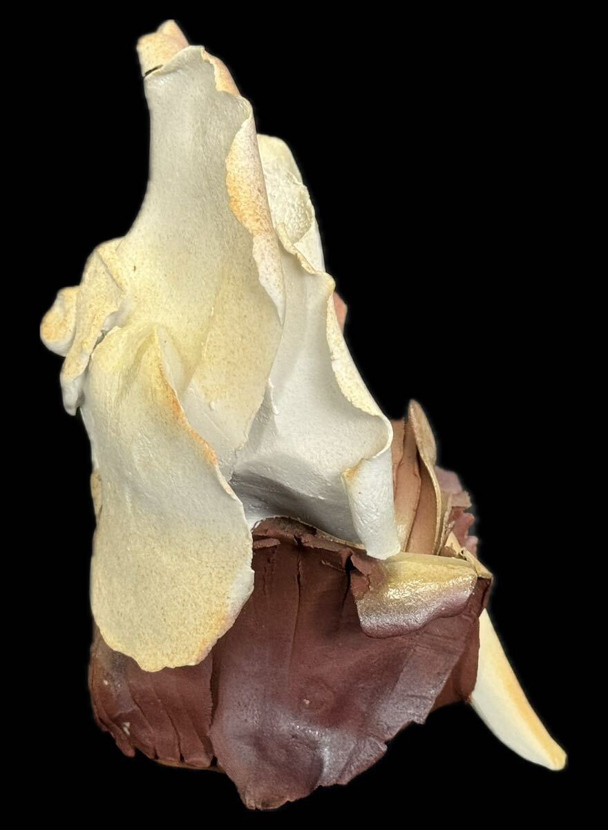 Yahoo!オークション - SG-616 創作人形作家 竹内祥子 森の妖精 花びら