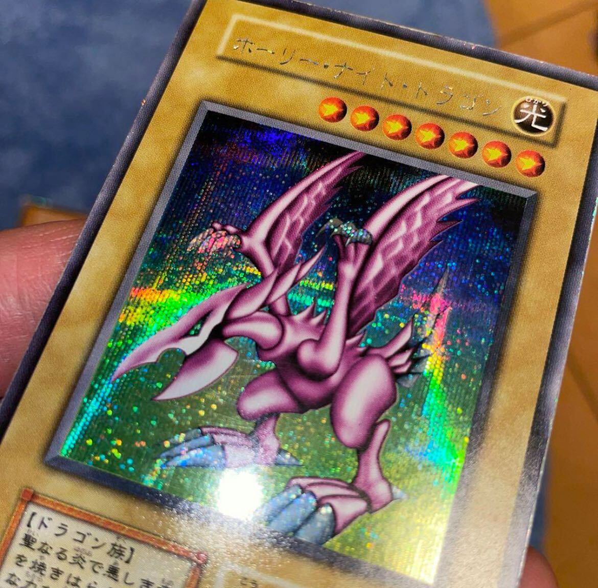 PSA10 連番 究極完全態グレートモス、ホーリーナイトドラゴン 25TH