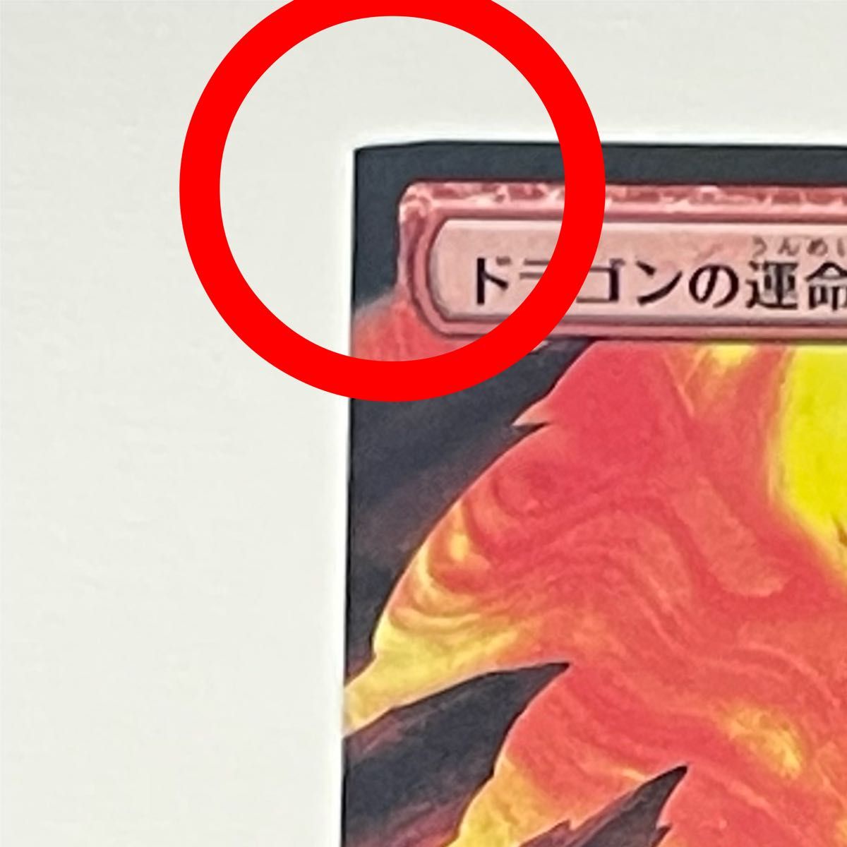 MTG 日本語版 エラーカード 5枚セット カットエラー マジック ザ