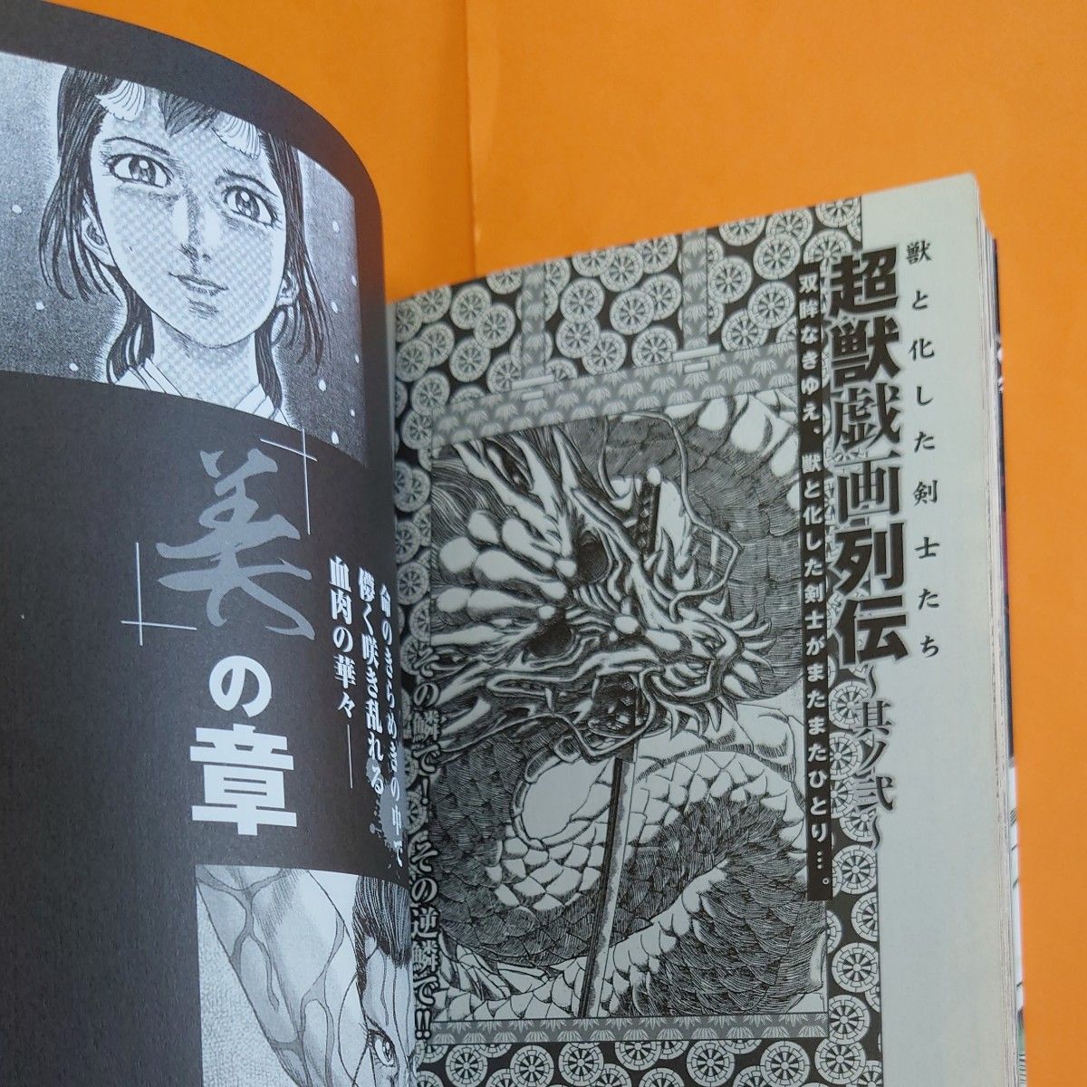 シグルイ奥義秘伝書 （チャンピオンREDコミックス） 山口 貴由 画