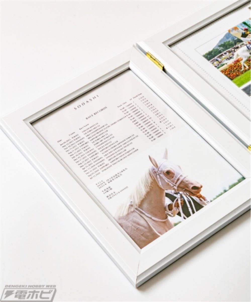 数量100個限定】ソダシ引退記念写真デザインパネル（シリアルナンバー