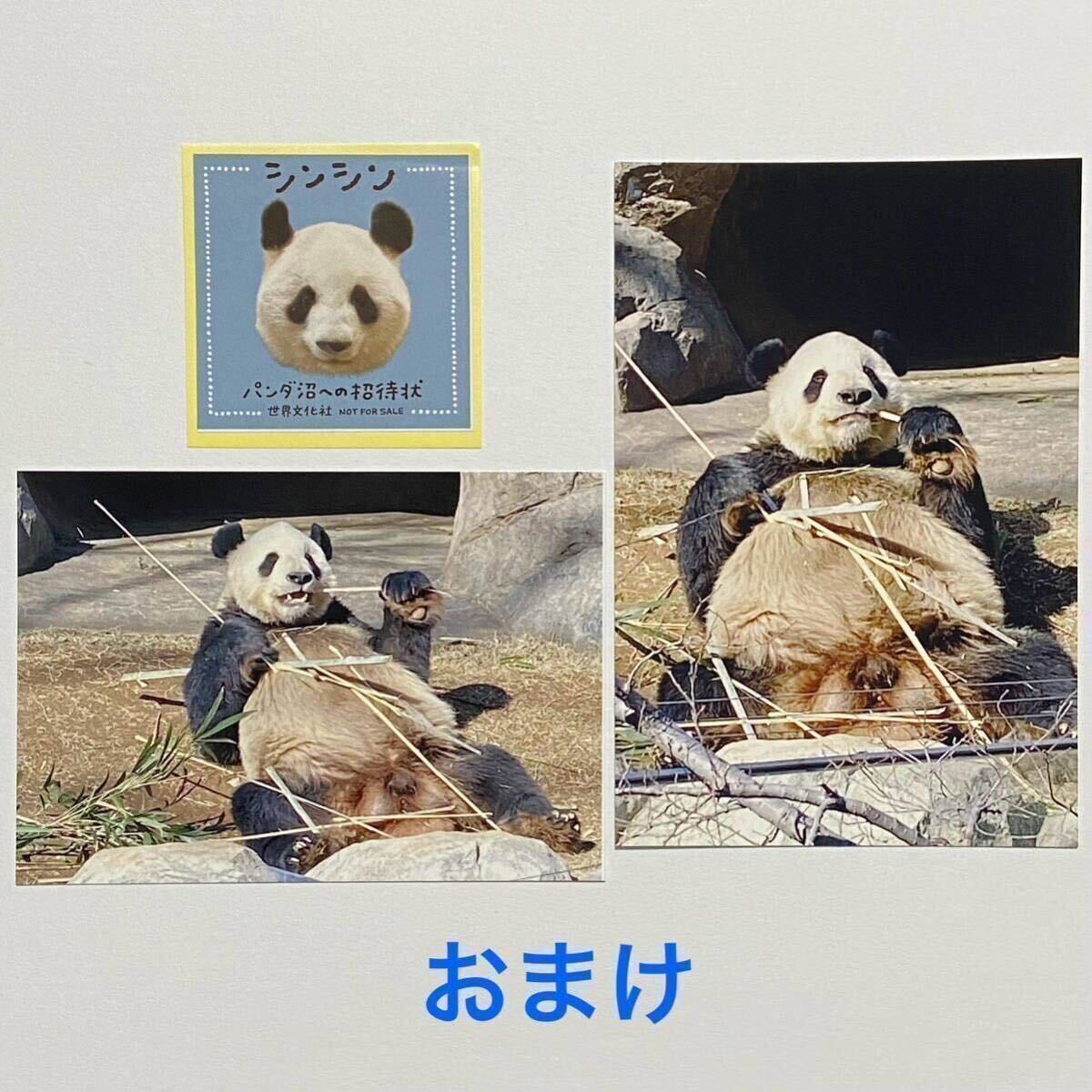 ジャイアントパンダ来日50周年記念 ポストカード リーリー＆シンシン