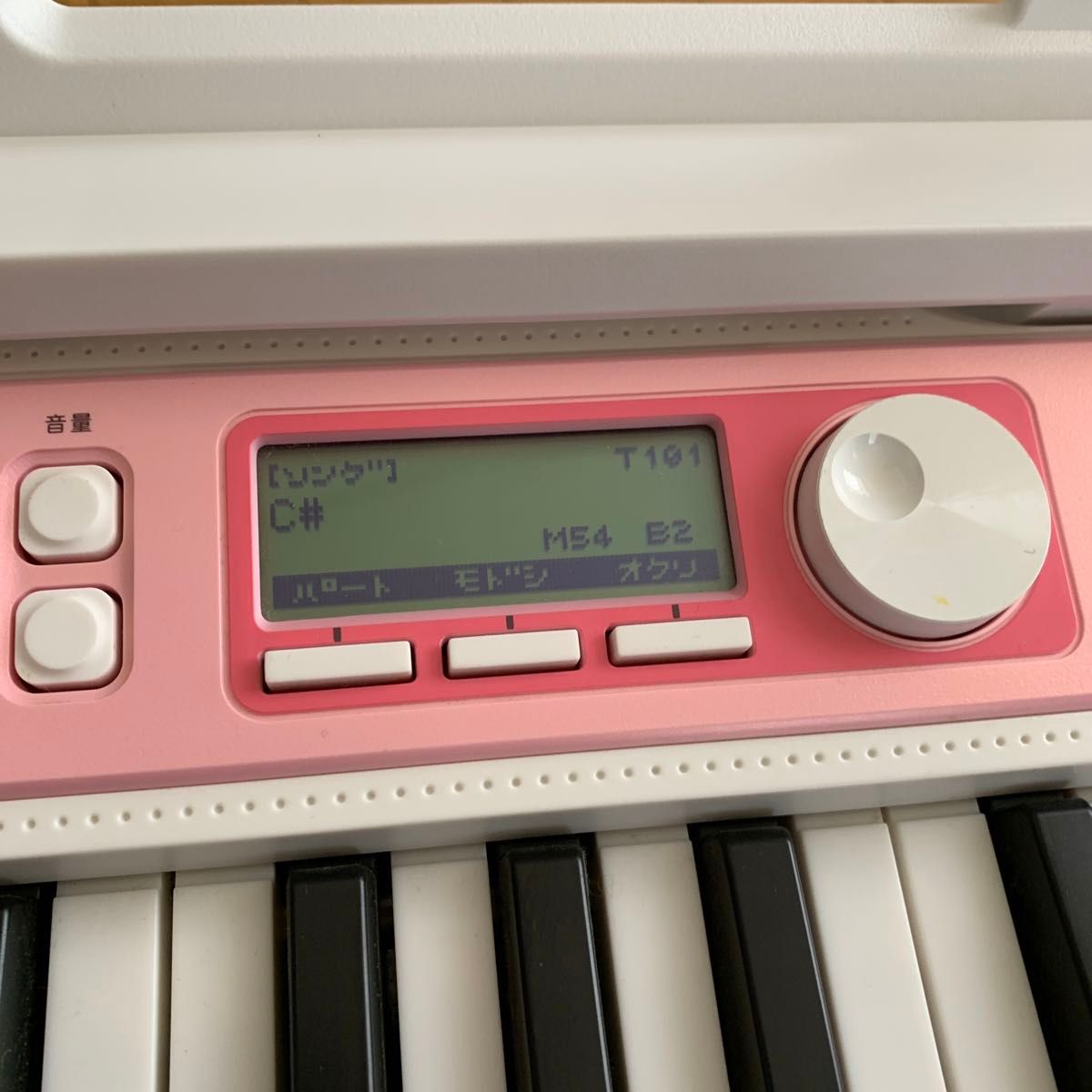 CASIO (カシオ) 61鍵盤 電子キーボード LK-312 [光ナビゲーション