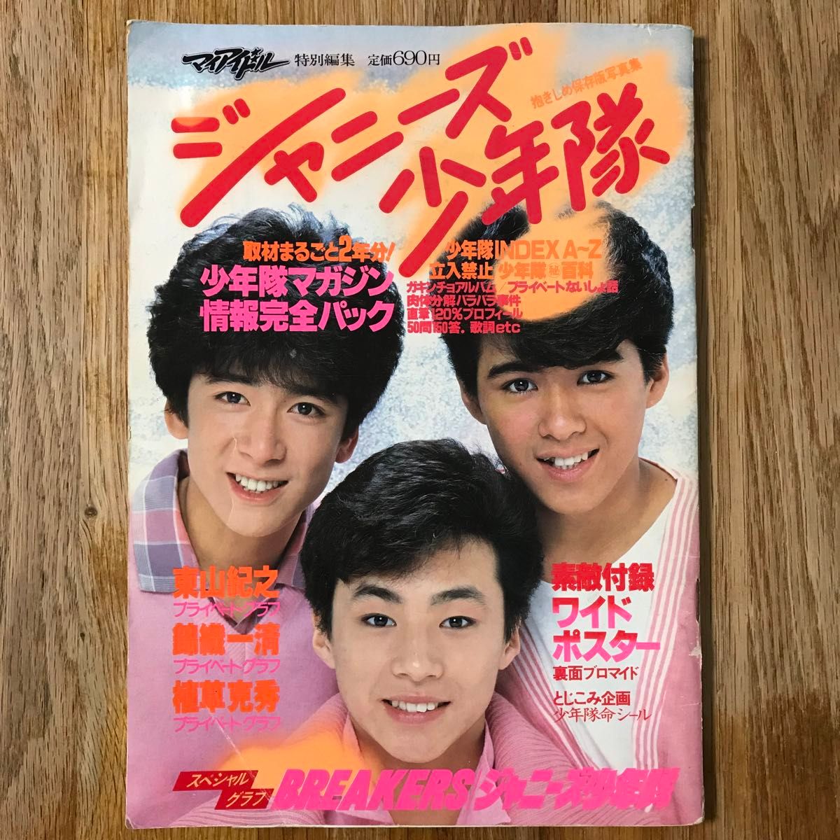 マイアイドル 特別編集 ジャニーズ 少年隊 錦織一清 植草克秀 東山紀之