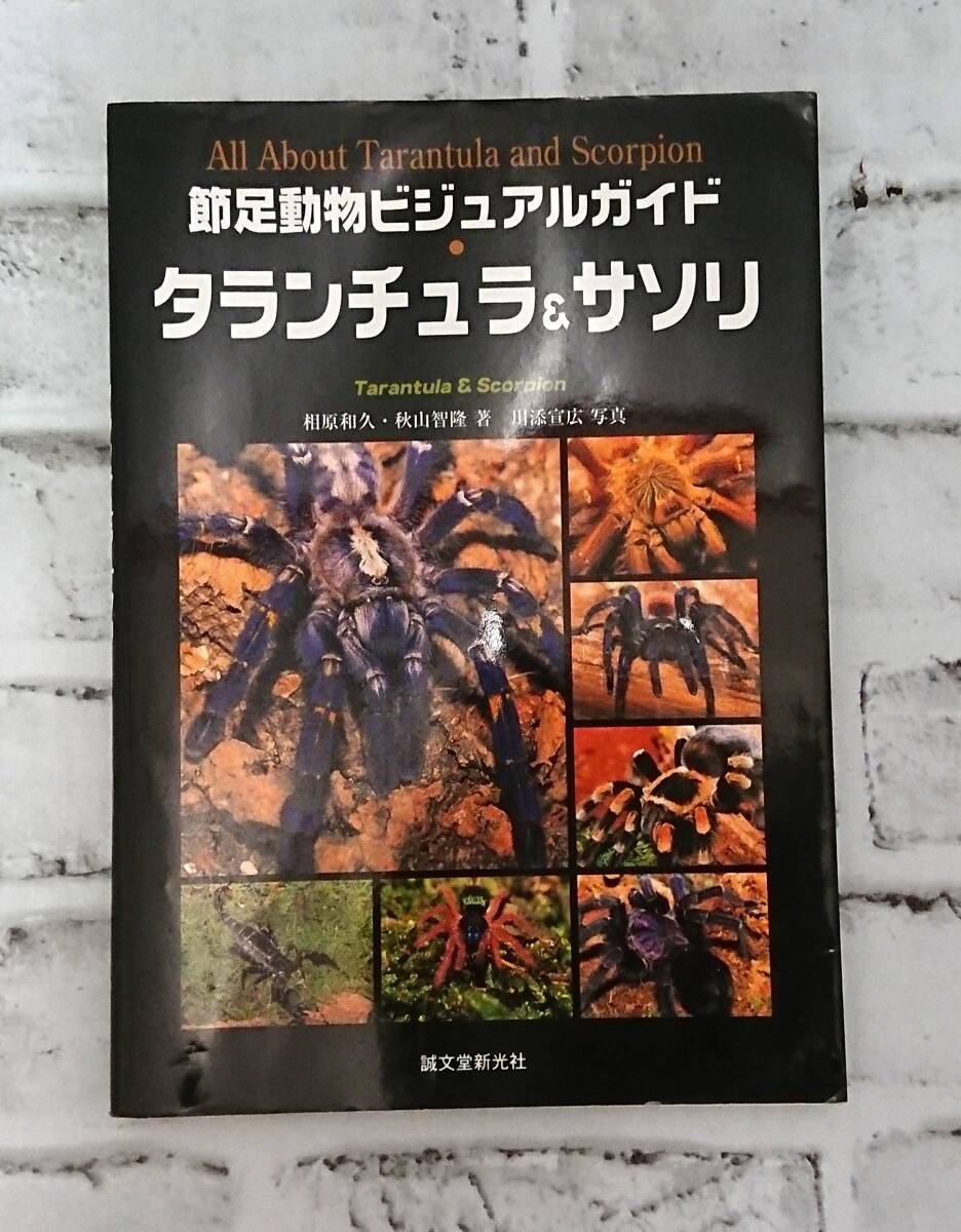 節足動物ビジュアルガイド『タランチュラ＆サソリ』