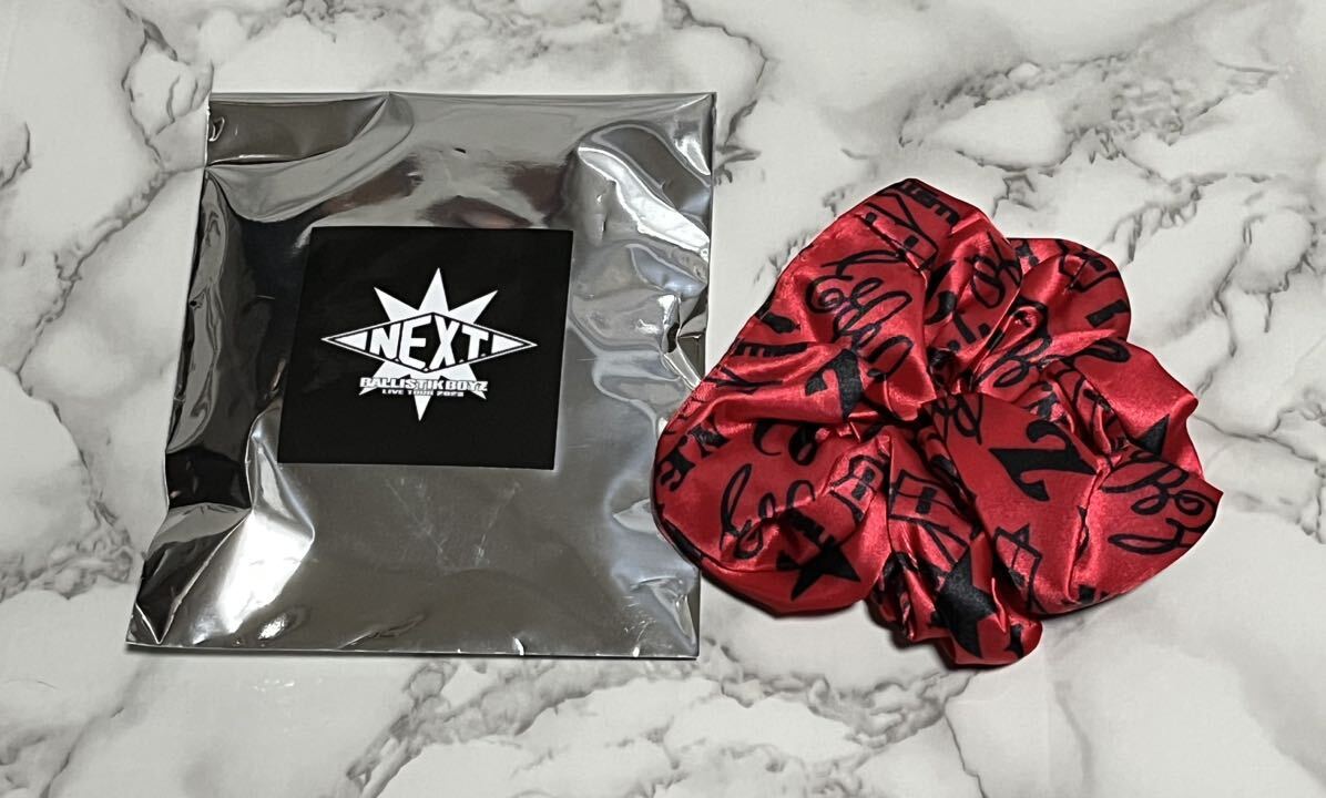 Yahoo!オークション - 未使用 BALLISTIK BOYS N.E.X.T. シュシュ ブレ