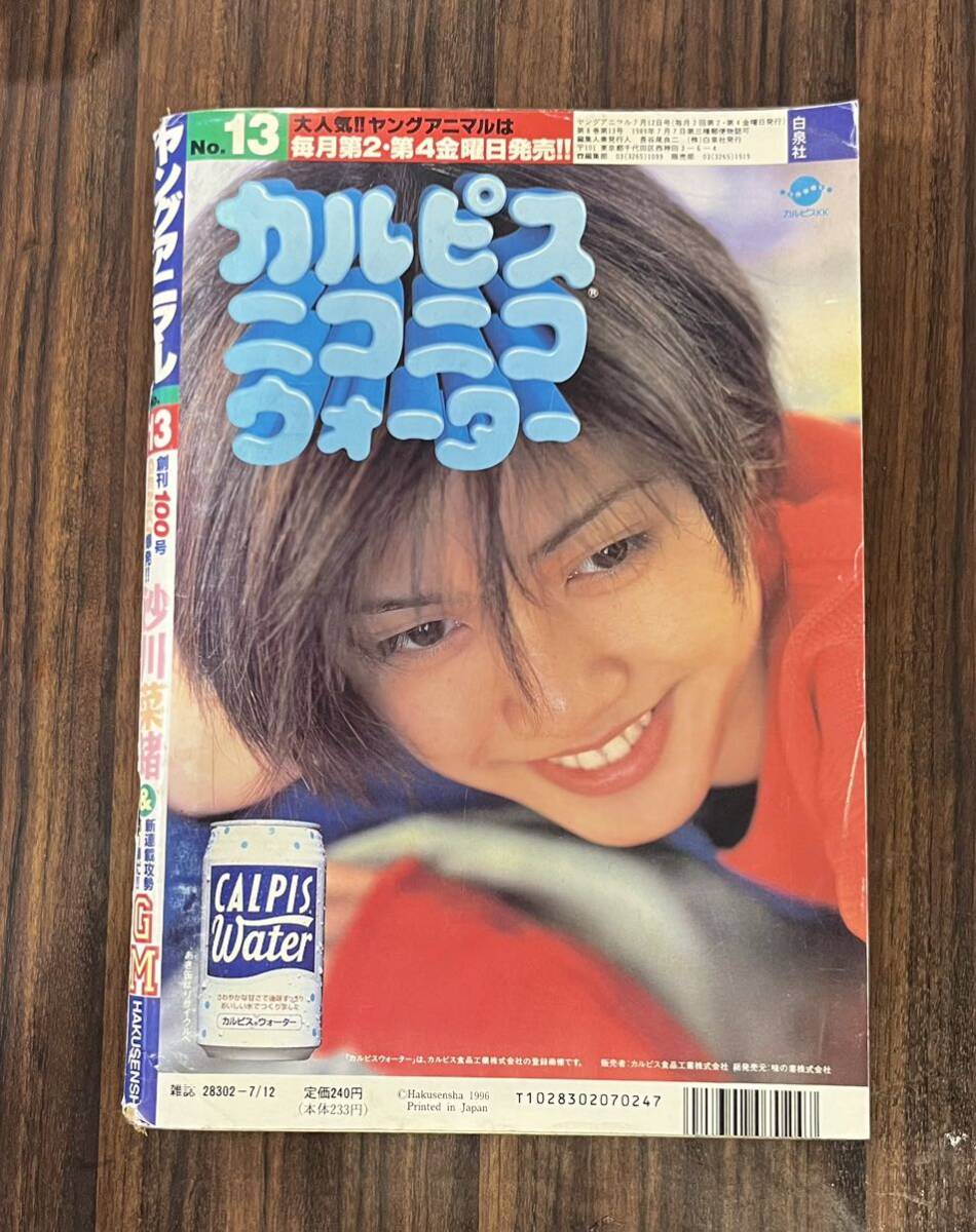 Yahoo!オークション - ヤングアニマル 『ベルセルク』1996年 13号 三浦