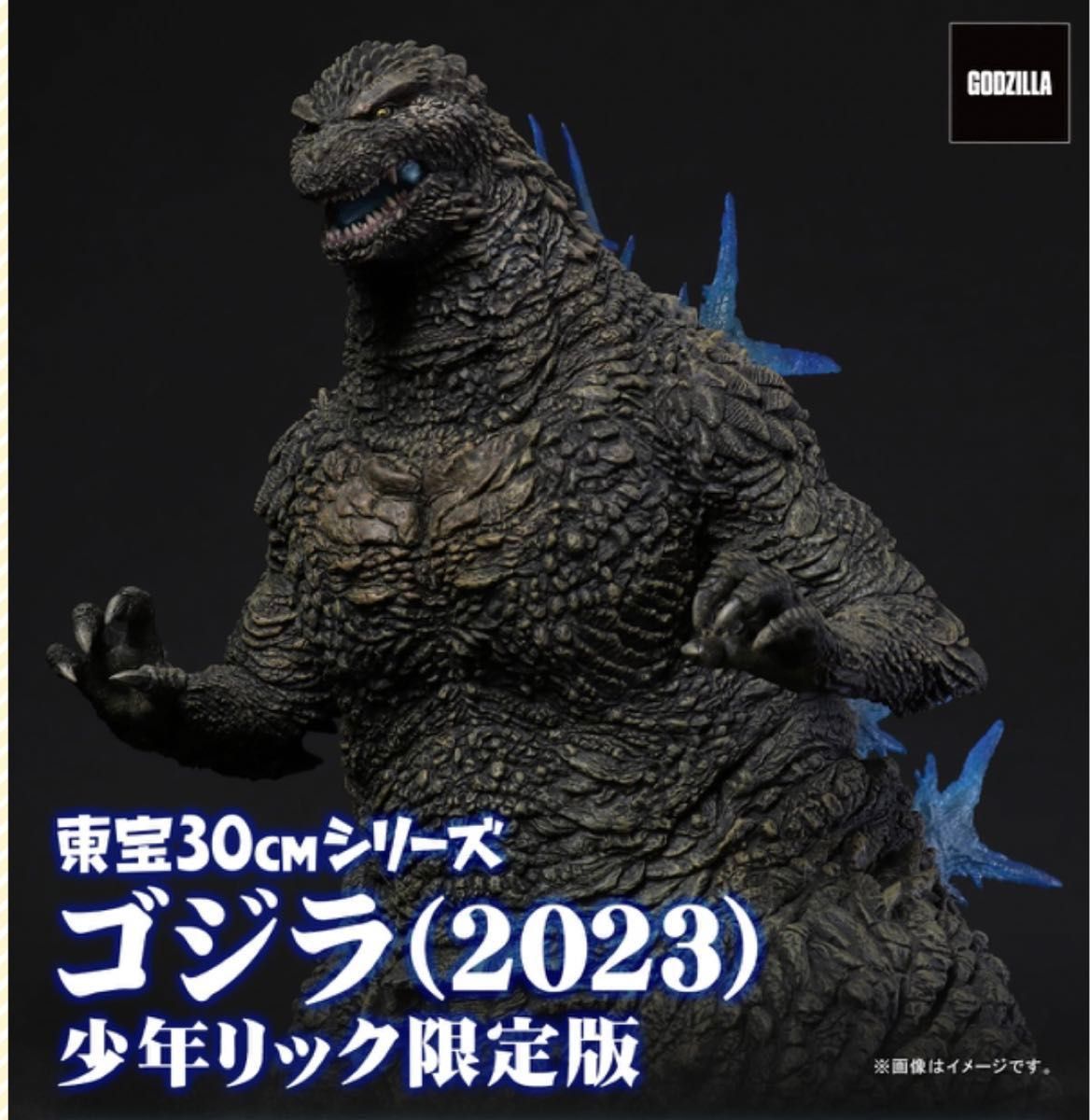 少年リック ゴジラ・ストア限定版 東宝30cmシリーズ ゴジラ(2023