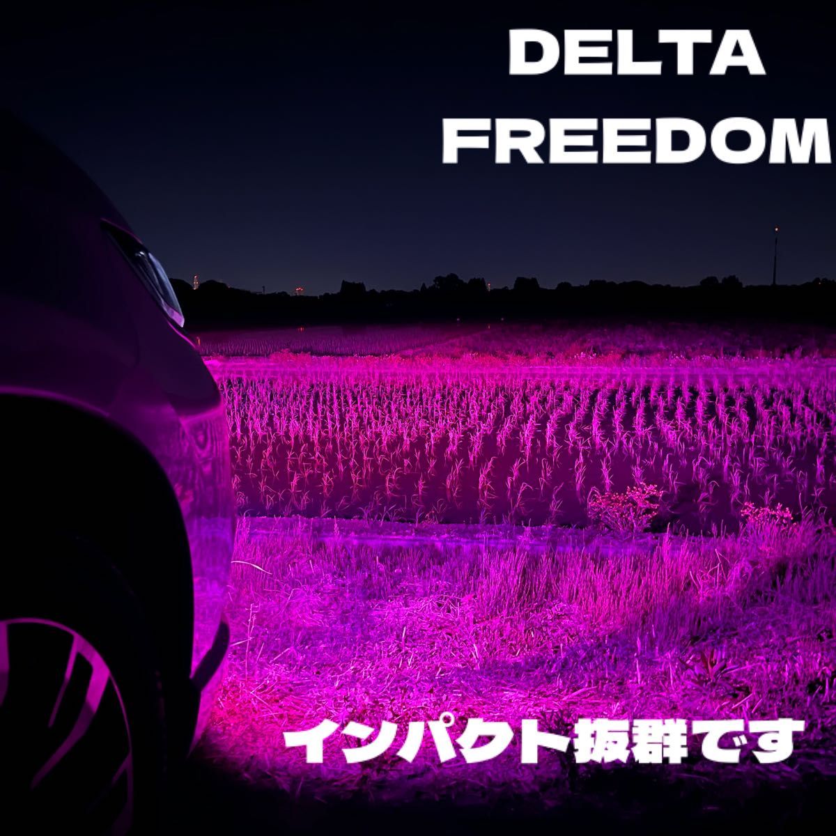 LED H8 H11 H16 パープルピンク ワンオフ インパクト抜群 DELTA LED