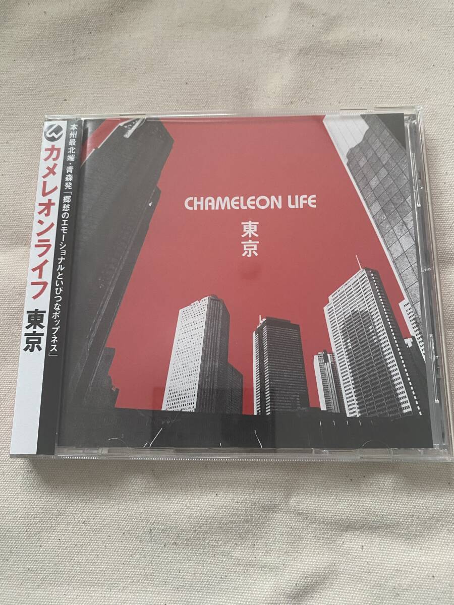 カメレオンライフ 夕暮れステレオ 秋田ひろむ カメレオンライフ 東京