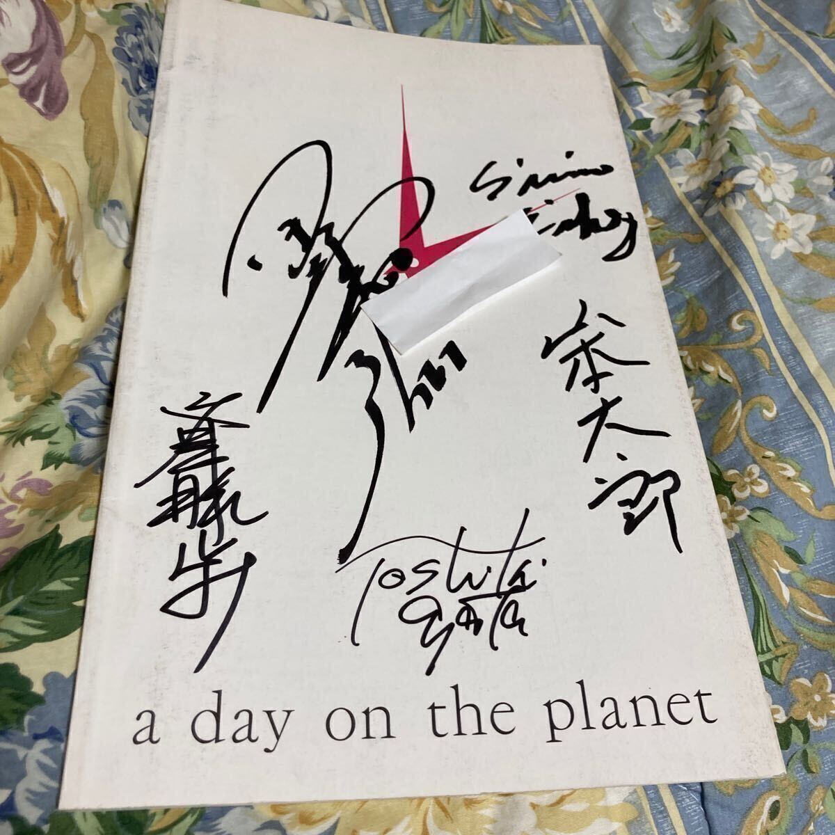 Yahoo!オークション - ヤイコ 矢井田瞳 直筆サイン きょうのできごと