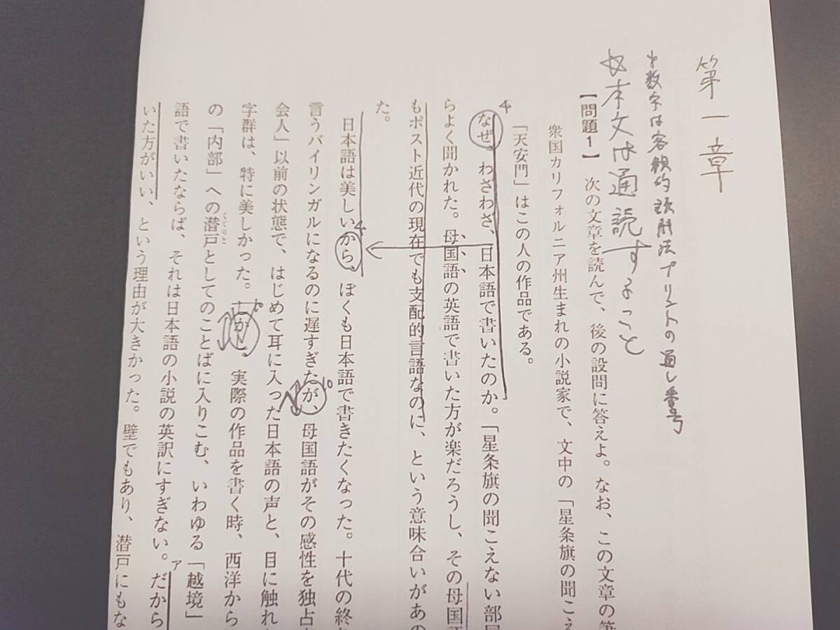 駿台 中野芳樹先生 20年通期 東大現代文 問題・板書 フルセット 最上位