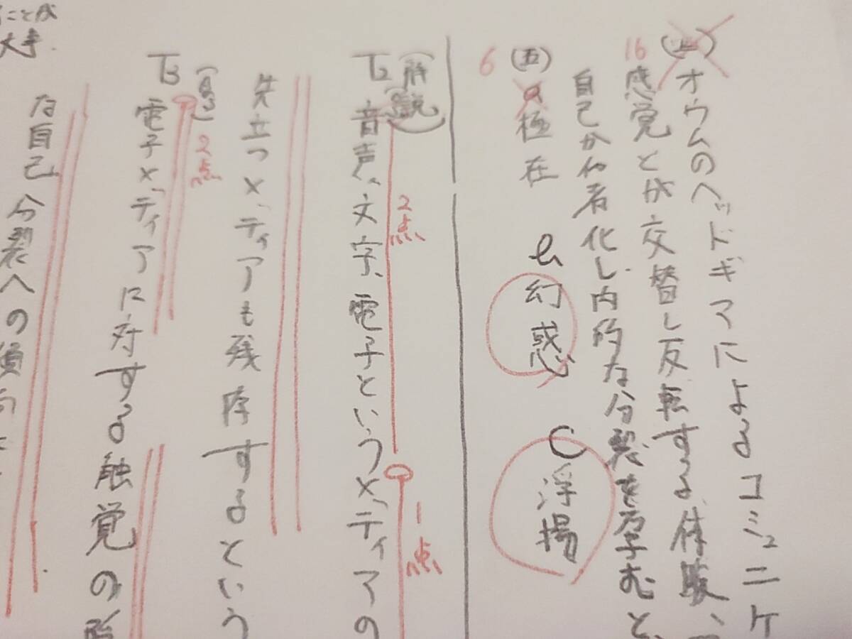 駿台 中野芳樹先生 20年通期 東大現代文 問題・板書 フルセット 最上位